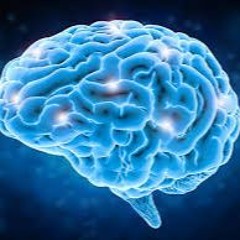Cerebral
