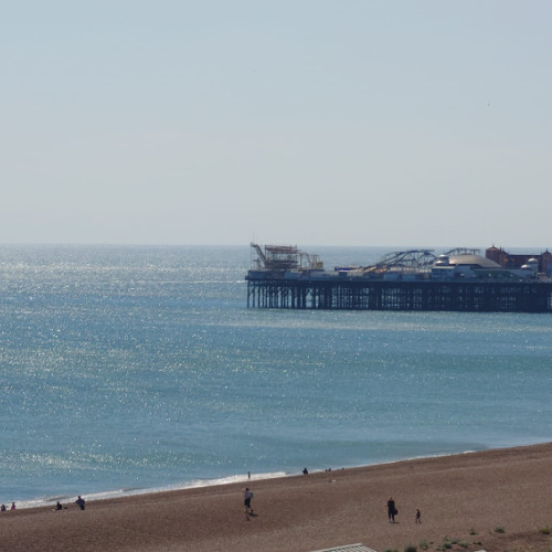 Taking Root [Cozy Fantasy]