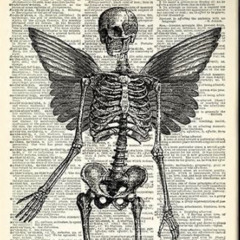 GettinMessy Prod.The Designer