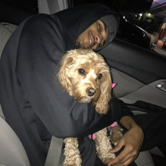 All I Want (snippet)