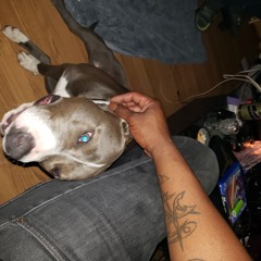 Amongst Gangsters & Gentlemen ft. Jae Mill$ (Prod. by TE'HO SWIFT)