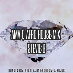 Ama & Afro House Mix 2024
