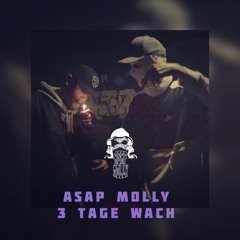 Asap Molly - 3 Tage wach