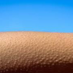 vibe 02.11 techno tech ..