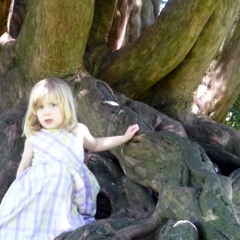 Greenhouse (voice note)