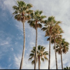 اشمعنى انا؟