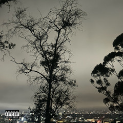 CITY OF THE ANGELS ft. boy in black