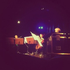 "...ins Dunkel geschlagen" (performed by XelmYa)