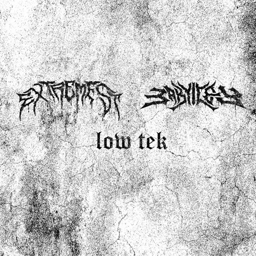 BABY ICEY X EXTREMEST - LOW TEK (FREE DOWNLOAD)