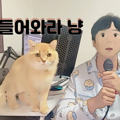 잠 못드는 힘든 밤