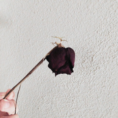 namoro surpreendente