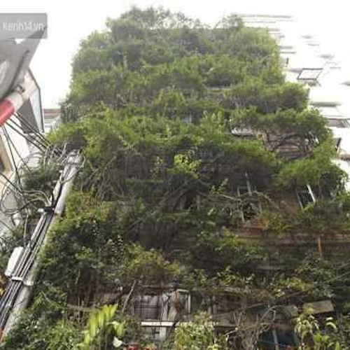 *collect now, deleting soon for space*