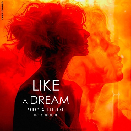 Perry & Fledger - Like A Dream