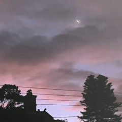 tell this to the old me