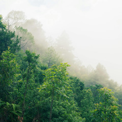 Maand X Choo Loo  Slowed & Reverb  Prod. Aesthetic Heart  #aesthetic #trending #lofisong