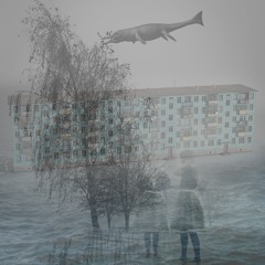 Grey Area