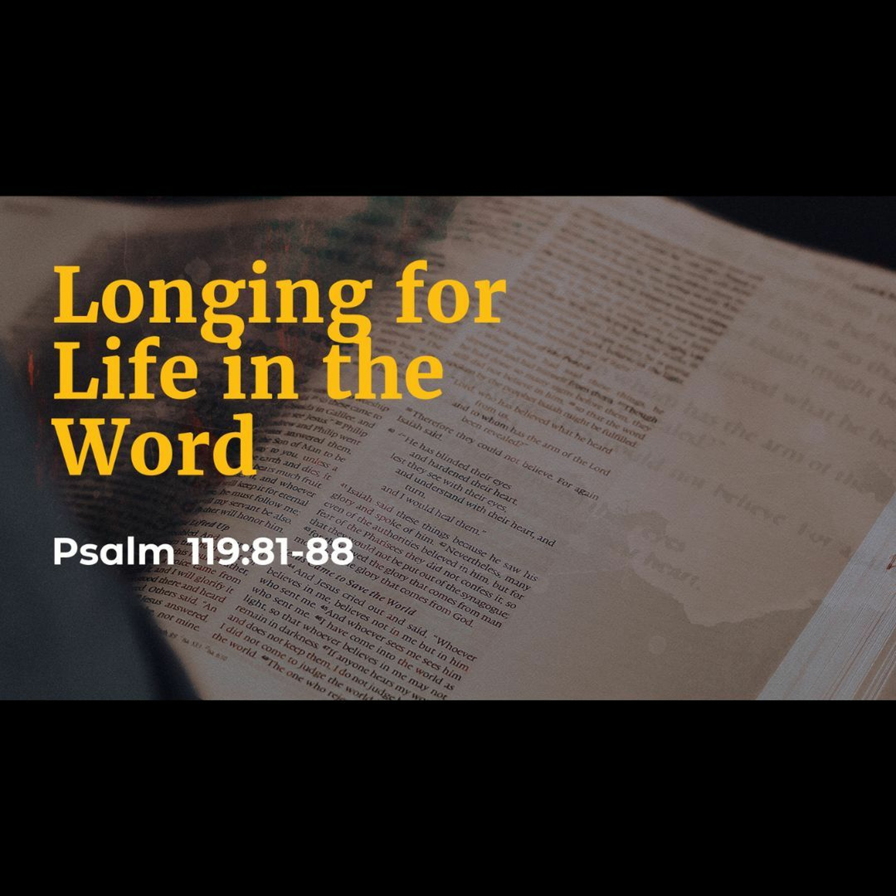 Longing For Life in the Word (Psalm 119:81-88)