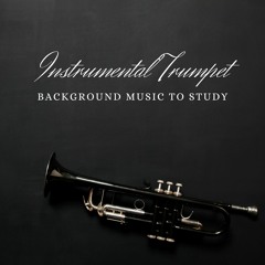 Theme from a Perfect World