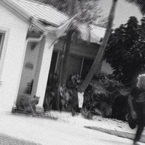 JACOB SCOTT - MEAN