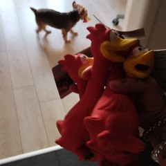 PLAYTIME