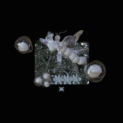 02. Selvagia & CIBER1A - Okow