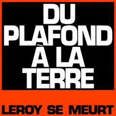 Du Plafond à la Terre