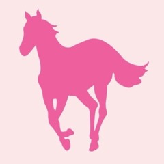pinkhorses