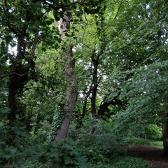 Oakfield Glen, Carrickfergus, Northern Ireland