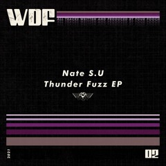 Thunder Fuzz EP [When Dogs Fly 02]