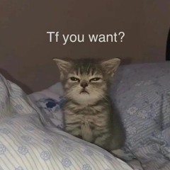 Meow meow meow