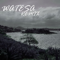VINTAGE - WATESA (REMIX)