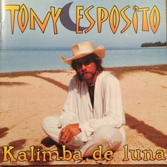 Tony Esposito - Kalimba De Luna (VJ AuX Deep Remix)