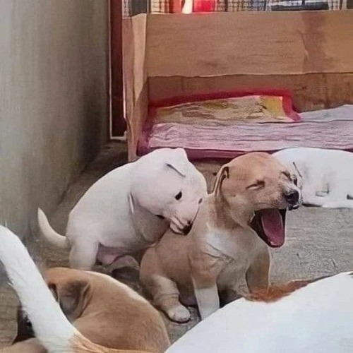 grgrgrgrgr (1).mp3