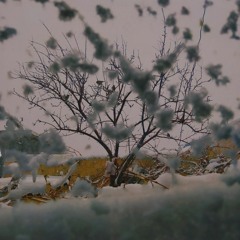 Shajarin - to kafardel - Olafur Arnalds / تو کافردل شجریان