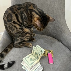 yuke - get rid of u prod fakehundreds