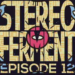 Stereo Ferment Episode 12