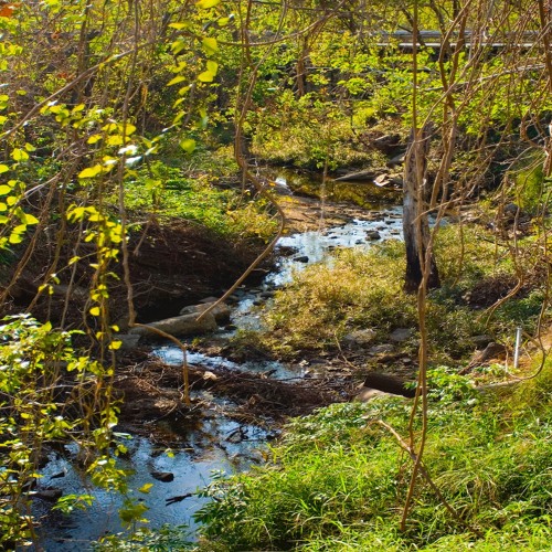 Stream Gordon Jacob, Old Wine in New Bottles, I. Wraggle Taggle Gypsies