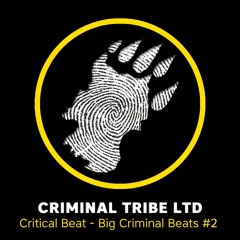 Critical Beat - Big Criminal Beats #2