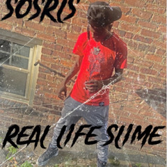 Real Life Slime ( @sosrls)