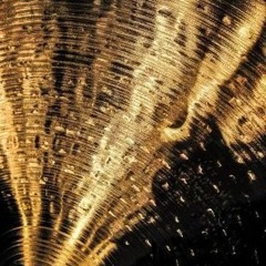 Brass [Prod Yvng DexStar]