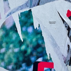 IN NO PARTICULAR ORDER [5 of ?]