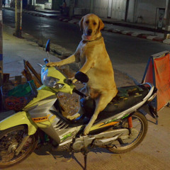 Лайка BASSBOOSTED (feat. LAPUHIN, shaybaa,motyafck,ЛАЙКА, perc40)