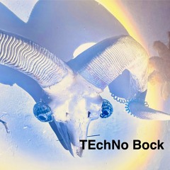TECHhno  Kränzje aus der TEC-NO-MANu-fuck-TUR(-19.07.2025-)