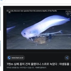 서로를 향하고 있다면