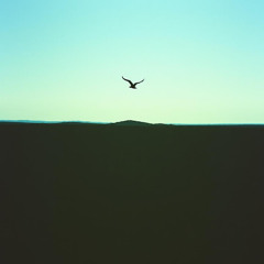 Lift Me Higher