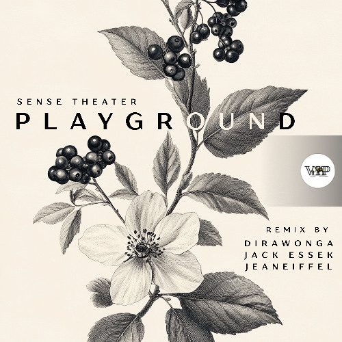 Sense Theater - Playground (Dirawonga Remix) [Camel VIP Records]