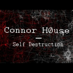 Self Destruction