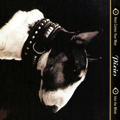 Pixies Radio