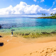 Best Things To Do In West Maui Tours Reviews