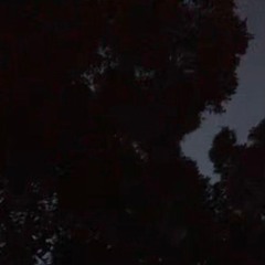 gl0wrm - daywalker (puppygirlalice x gl0)